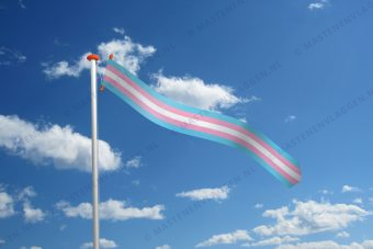 Wimpel transgender
