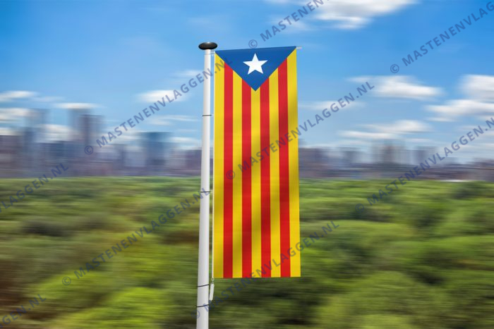 Catalaanse banier