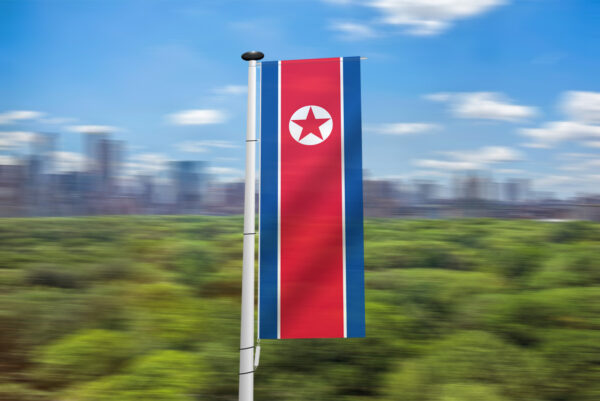 Noord-Koreaanse banier