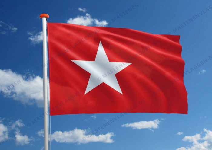 Vlag Maastricht