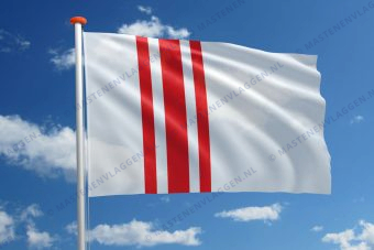 Vlag Oisterwijk