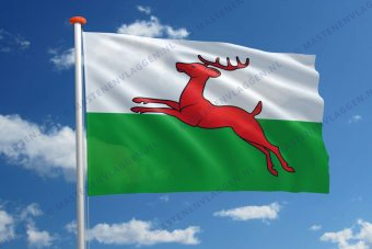 Vlag Smallingerland