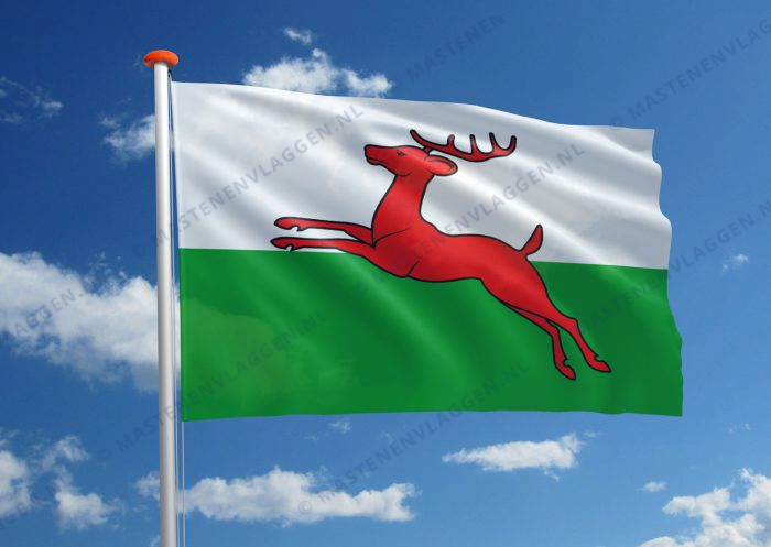 Vlag Smallingerland