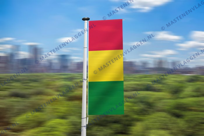 Boliviaanse banier