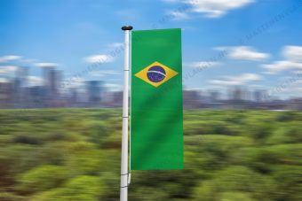 Braziliaanse banier