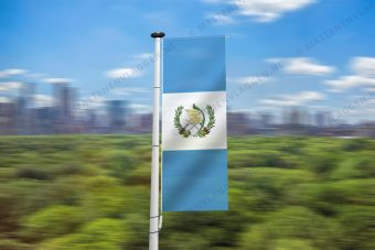 Guatemalaanse banier