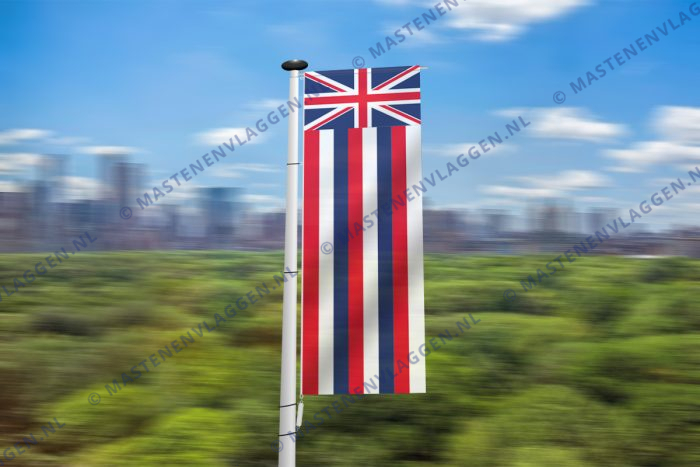 Hawaïaanse banier
