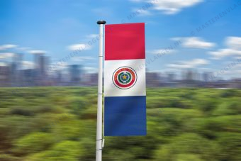 Paraguayaanse banier