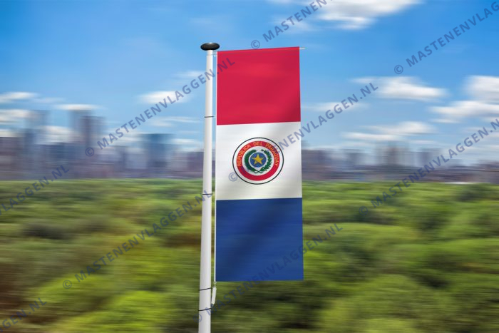 Paraguayaanse banier