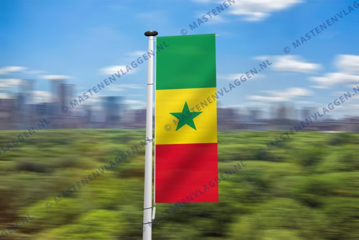 Senegalese banier