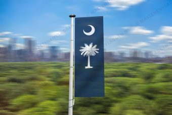 South-Carolina banier