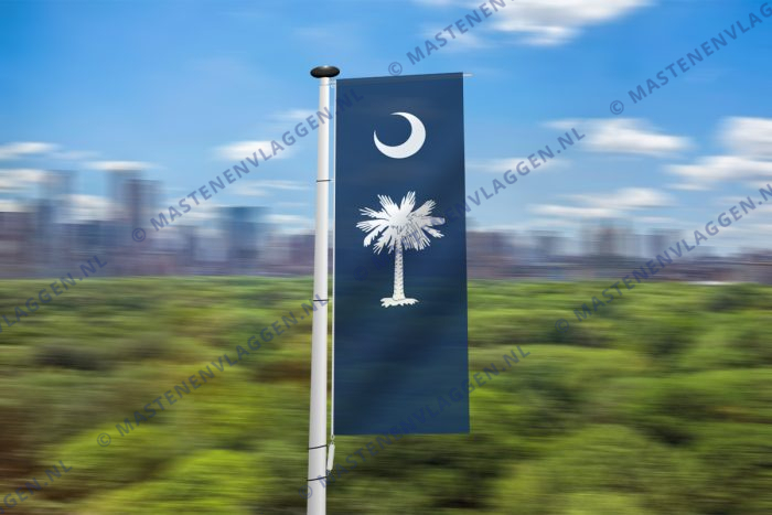 South-Carolina banier