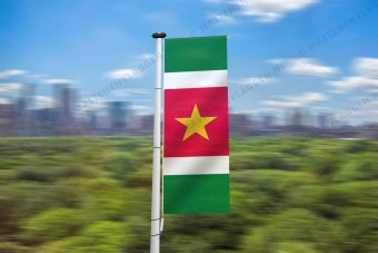 Surinaamse banier