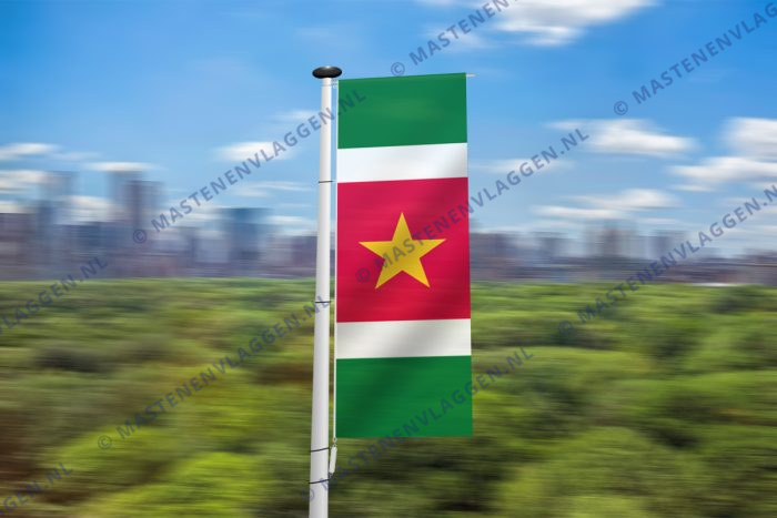 Surinaamse banier