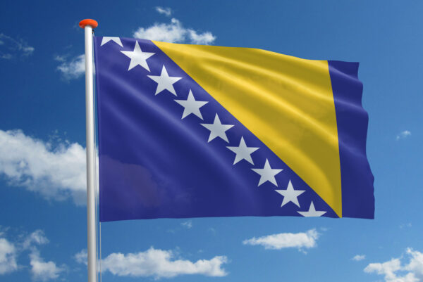 Bosnische vlag