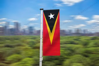 Oost Timorese banier