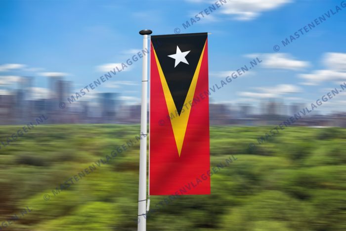 Oost Timorese banier
