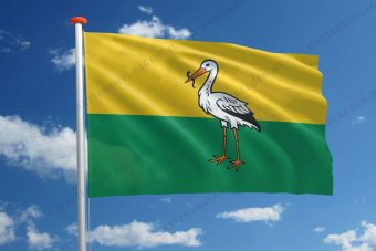 Vlag Den Haag