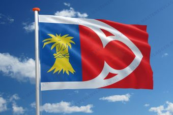 Dorpsvlag Baaium