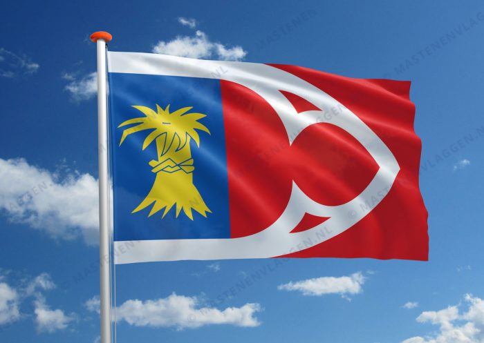 Dorpsvlag Baaium