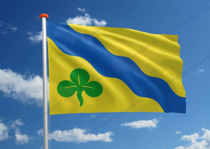 Dorpsvlag Boer