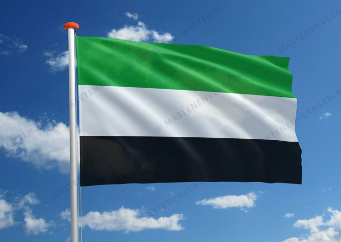 Dorpsvlag Leek