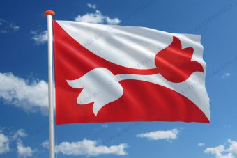 Dorpsvlag Nes