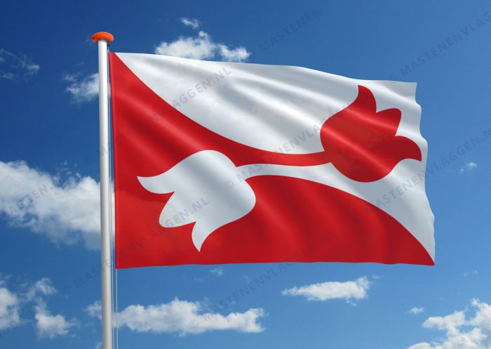 Dorpsvlag Nes