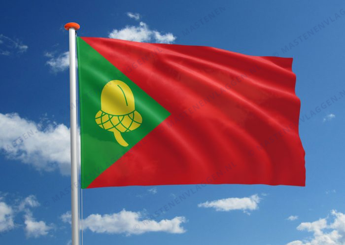 Dorpsvlag Noordbergum