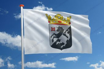 Dorpsvlag Norg