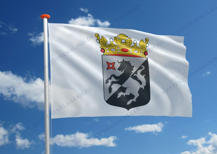 Dorpsvlag Norg