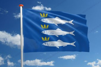 Dorpsvlag Scheveningen