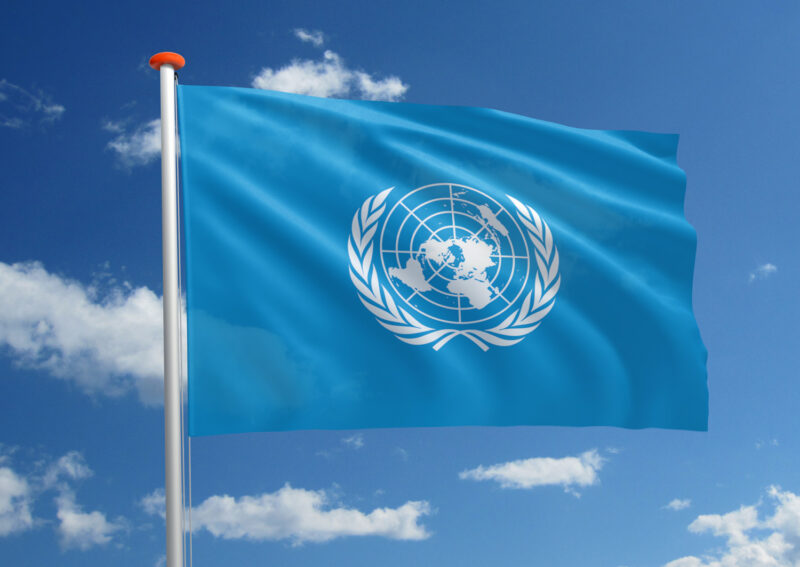 Vlag VN