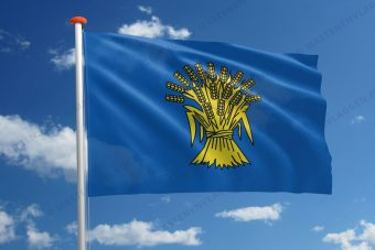 Dorpsvlag Reusel