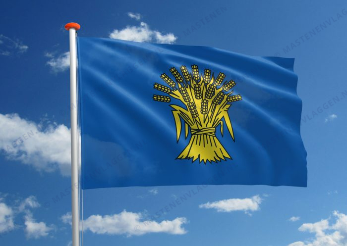 Dorpsvlag Reusel