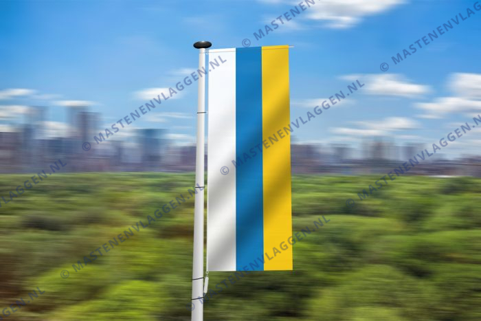 Banier Canarische Eilanden (variant)
