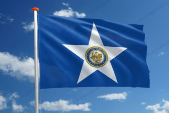 Vlag Houston