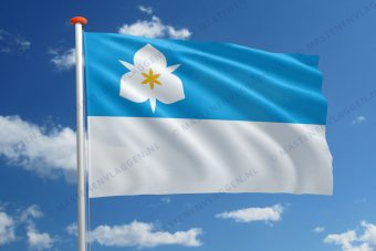 Vlag Salt Lake City