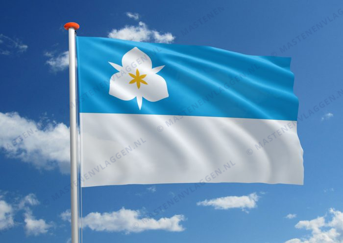 Vlag Salt Lake City