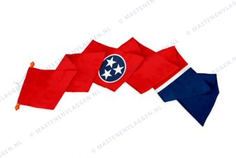 Wimpel Tennessee
