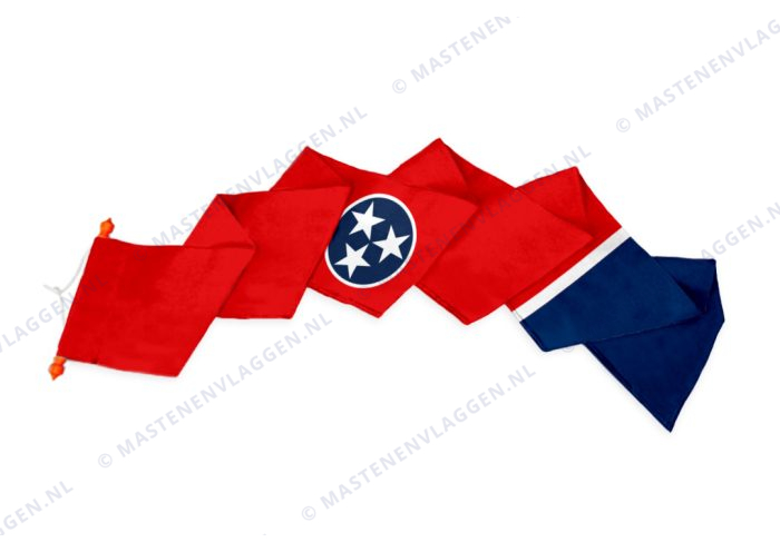 Wimpel Tennessee