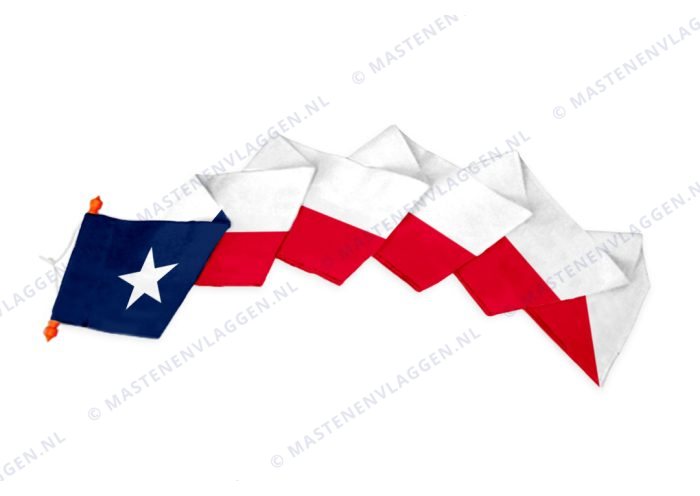 Wimpel Texas