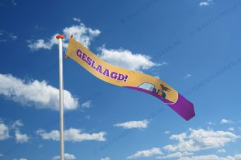 Rijbewijs