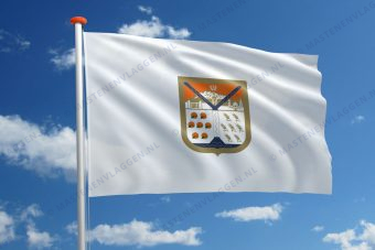 Vlag Hermosillo