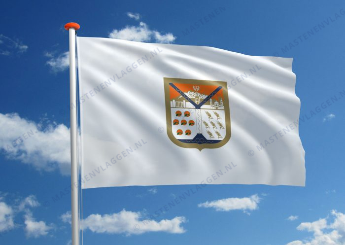 Vlag Hermosillo
