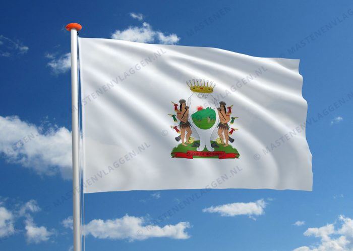 Vlag Monterrey