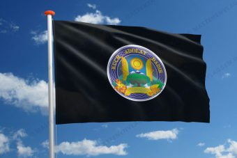 Vlag Tasjkent