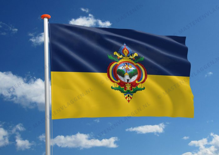 Vlag Tegucigalpa