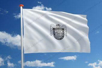 Vlag Tijuana