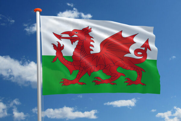 Welshe vlag